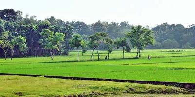 বাংলাদেশের প্রাকৃতিক দৃশ্য/সৌন্দর্য্য বিষয়ক প্রবন্ধ রচনা, ২য় পর্ব, এইচএসসি বাংলা ২য় পত্র